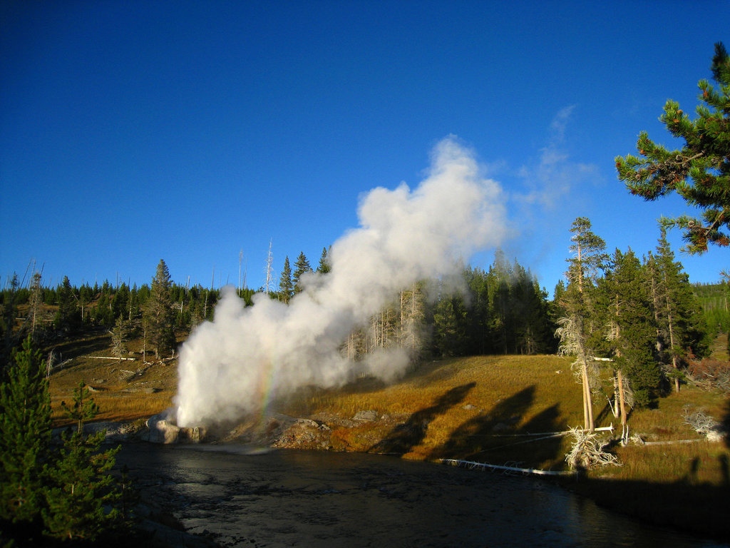Riverside Geyser (4036) Riverside Geyser (4036)