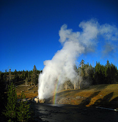 Riverside Geyser with Rainbow (4028)