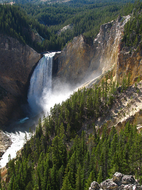 Lower Falls On The Yellowstone River (1648)