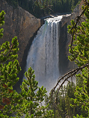 Lower Falls On The Yellowstone River (1652)