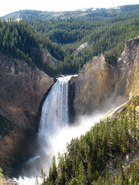 Lower Falls On The Yellowstone River (1653)