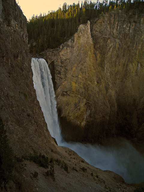 Lower Falls On The Yellowstone River (4209)