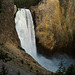 Lower Falls On The Yellowstone River (4213)