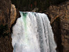 Lower Falls On The Yellowstone River (4221)