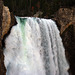 Lower Falls On The Yellowstone River (4221)