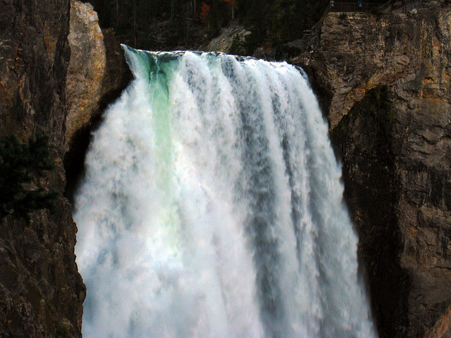 Lower Falls On The Yellowstone River (4222)