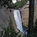 Lower Falls On The Yellowstone River (4226)