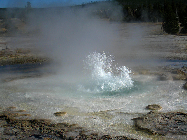 Sawmill Geyser (3896)