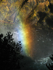 Upper Falls On The Yellowstone River & Rainbow (1664)