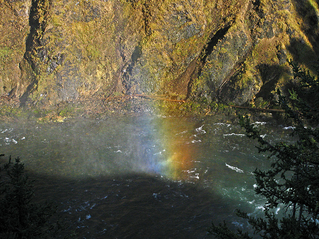 Upper Falls On The Yellowstone River & Rainbow (1665)