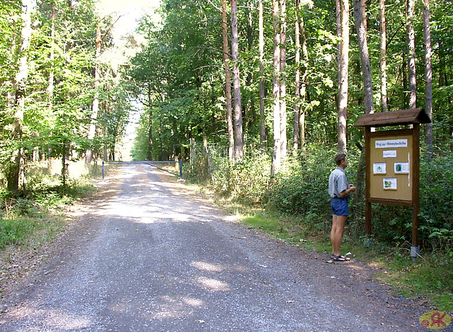 2003-09-07 06 Roßleben, Himmelsscheibe