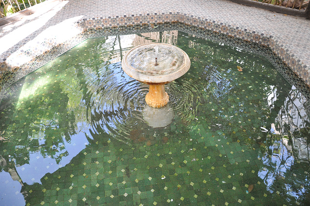 JARDIN DE MAJORELLE