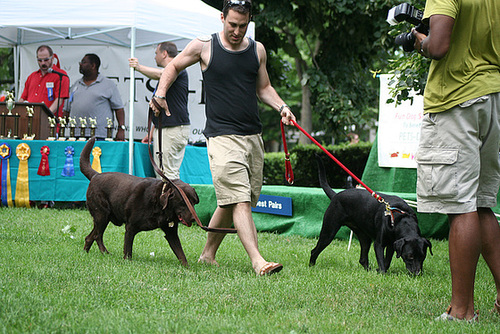 79.PrideOfPetsFunDogShow.Dupont.WDC.21June2009