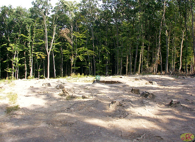 2003-09-07 22 Roßleben, Himmelsscheibe
