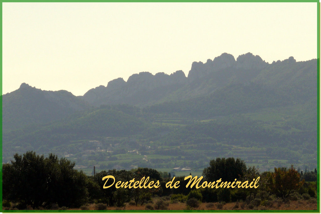 Dentelles de Montmirail