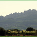 Dentelles de Montmirail