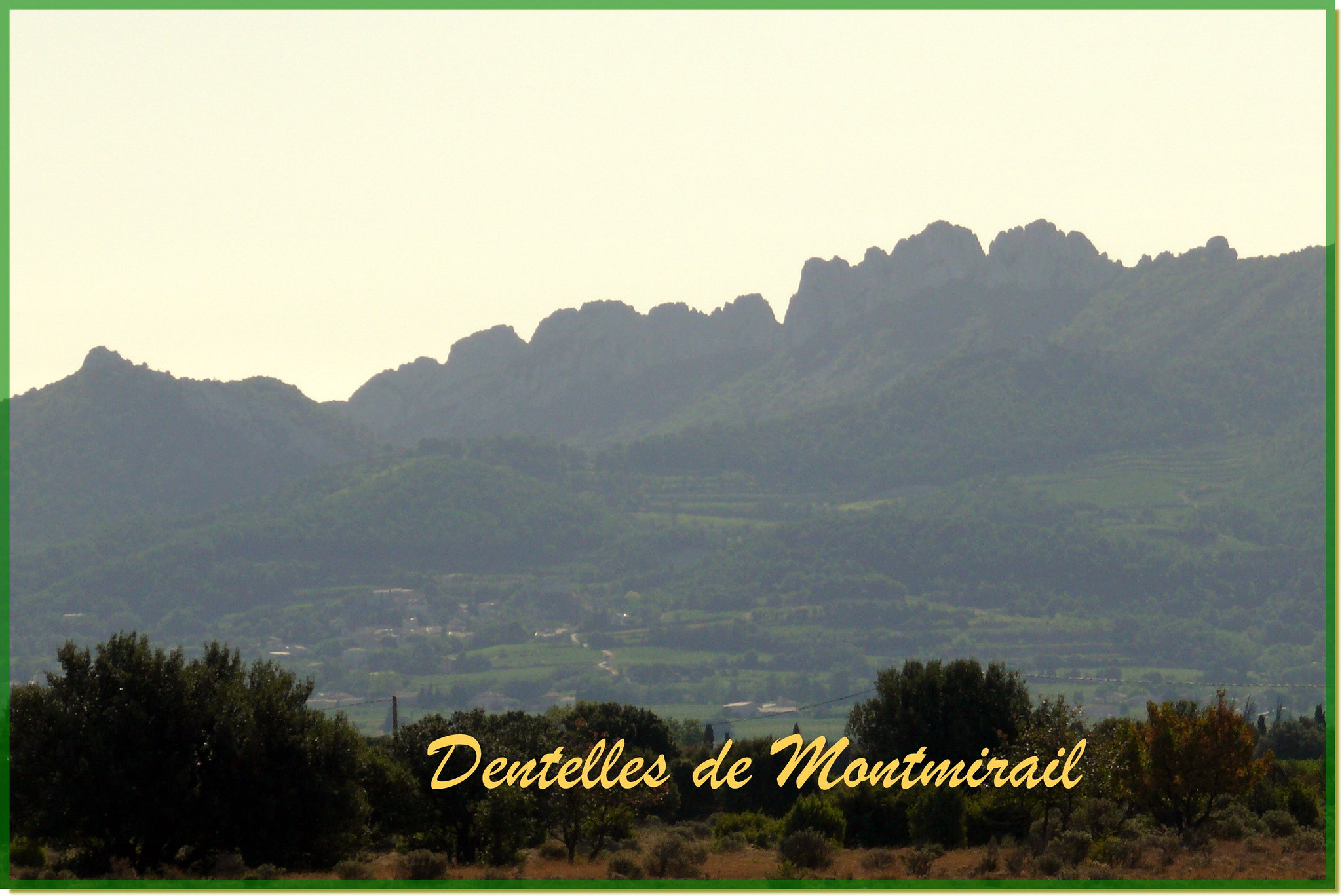 Dentelles de Montmirail