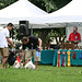 83.PrideOfPetsFunDogShow.Dupont.WDC.21June2009