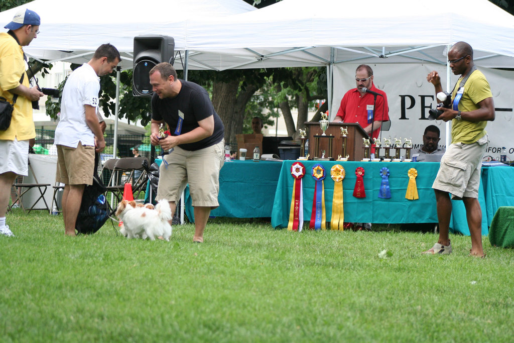 84.PrideOfPetsFunDogShow.Dupont.WDC.21June2009