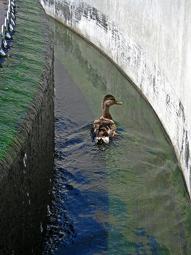 Horton Wastewater Treatment Plant (3466)