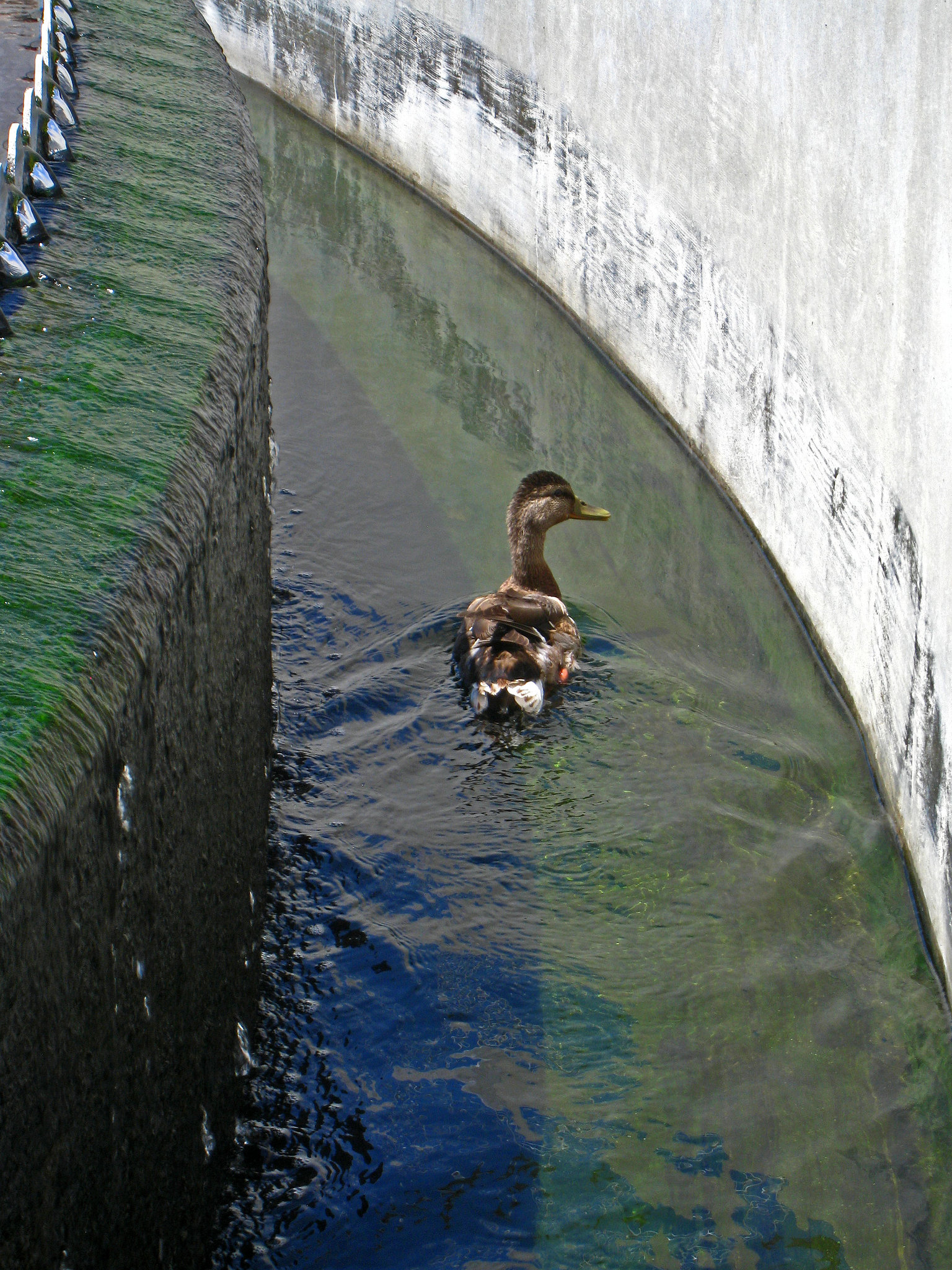 Horton Wastewater Treatment Plant (3466)