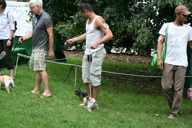 88.PrideOfPetsFunDogShow.Dupont.WDC.21June2009