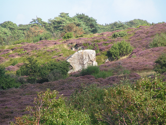 Bornholm