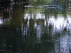 Fordingbridge waters