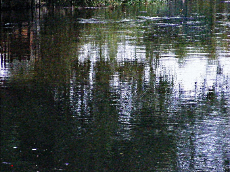 Fordingbridge waters