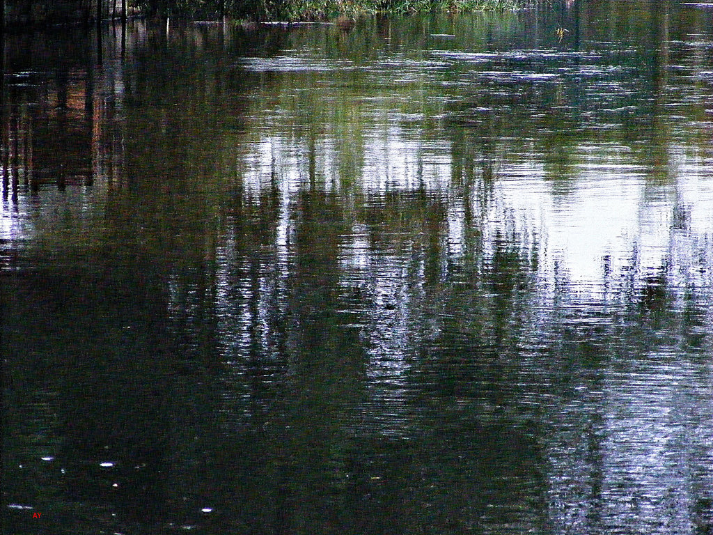 Fordingbridge waters