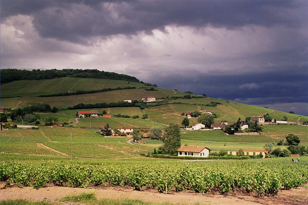 Colline de Brouilly