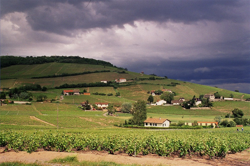 Colline de Brouilly