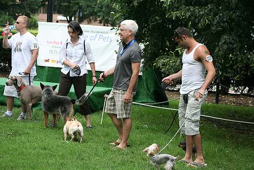 89.PrideOfPetsFunDogShow.Dupont.WDC.21June2009