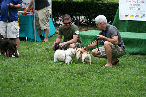 96.PrideOfPetsFunDogShow.Dupont.WDC.21June2009