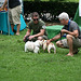 96.PrideOfPetsFunDogShow.Dupont.WDC.21June2009