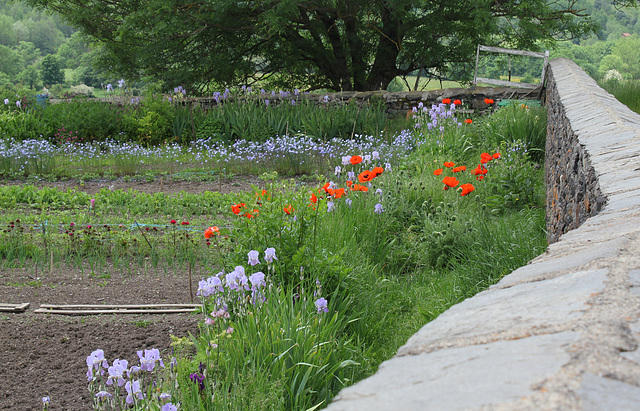 Jardin de campagne