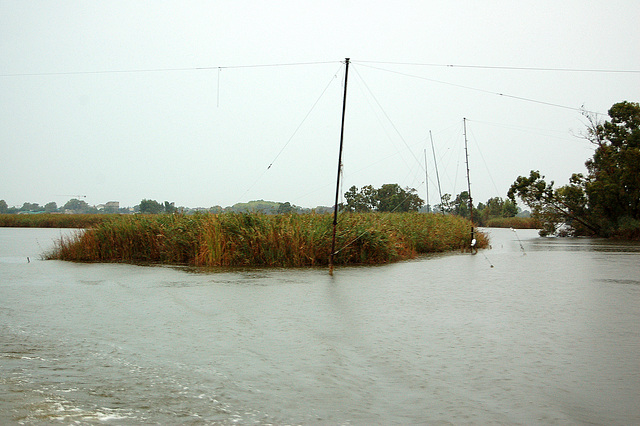 lago Puccini - See Puccini
