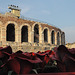 Arena die Verona 1