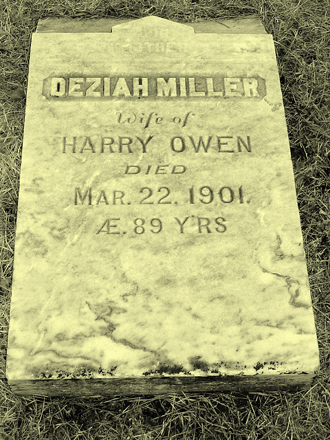 Mountain view cemetery. Saranac lake area.  NY. USA . March 29th 2009-  Desiah Miller & Harry Owen.  Vintage artwork