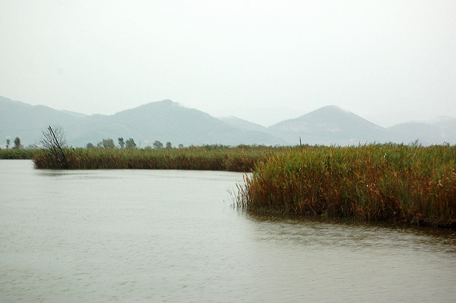 lago Puccini - See Puccini