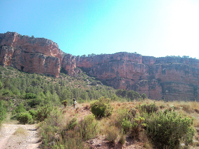 Montes de Tuéjar (Valencia)