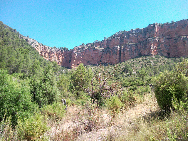 Montes de Tuéjar (Valencia)