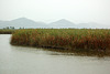 lago Puccini - See Puccini