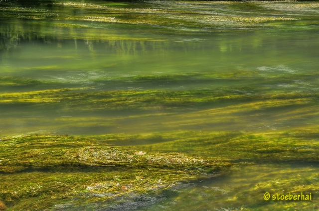 River Pegnitz