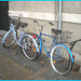 Duo de vélos bleus / Blue bikes duo