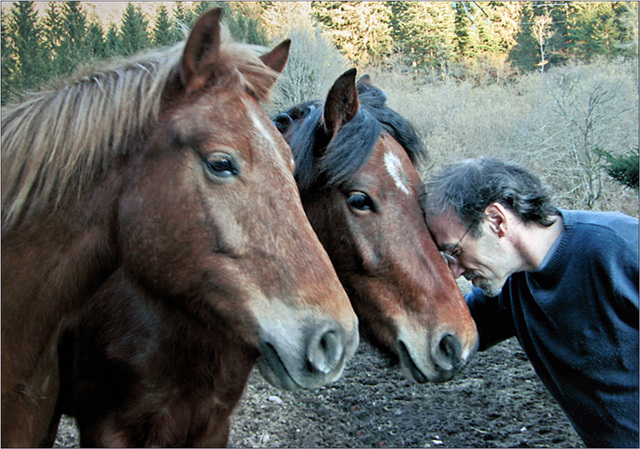 l'homme qui murmurait à l'oreille des chevaux