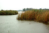 lago Puccini - See Puccini