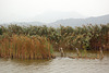 lago Puccini
