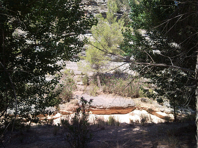 Montes de Tuéjar (Valencia).