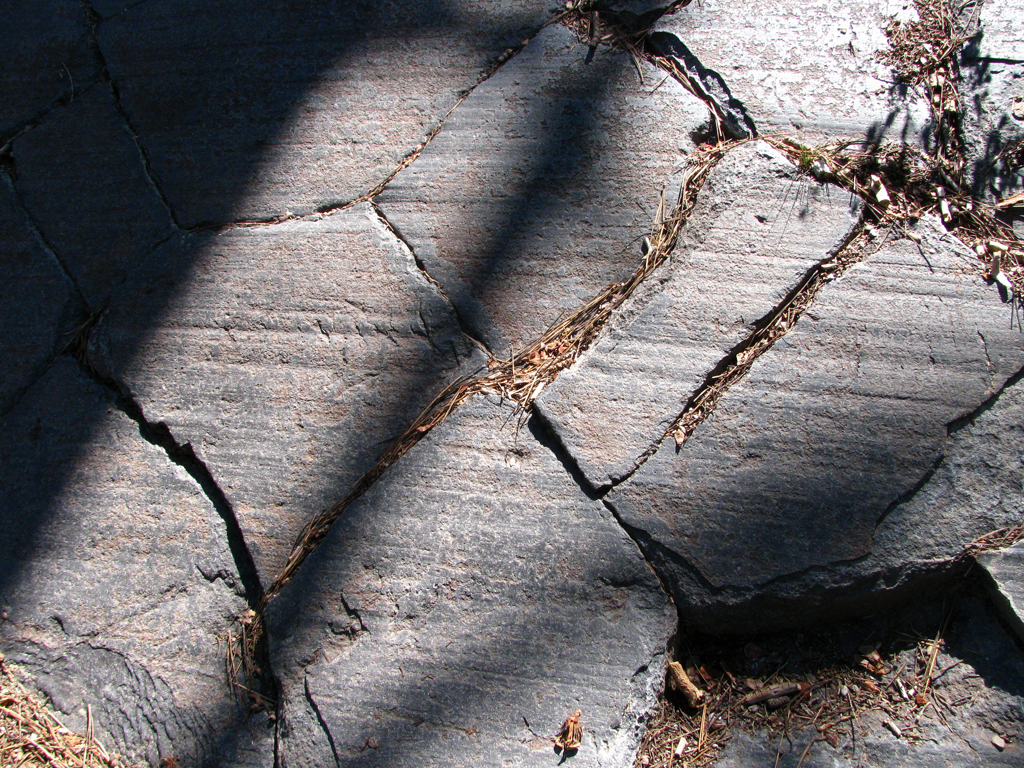 Devil's Postpile Scraped (0533)